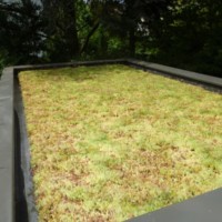 Extension et Bardage bois