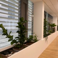 Bacs à fleurs chez AXPO