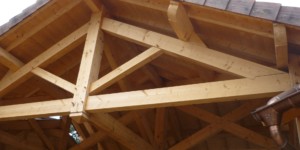 Abris voiture et auvent terrasse Lofoten