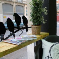 Salon de coiffure made with Lofoten